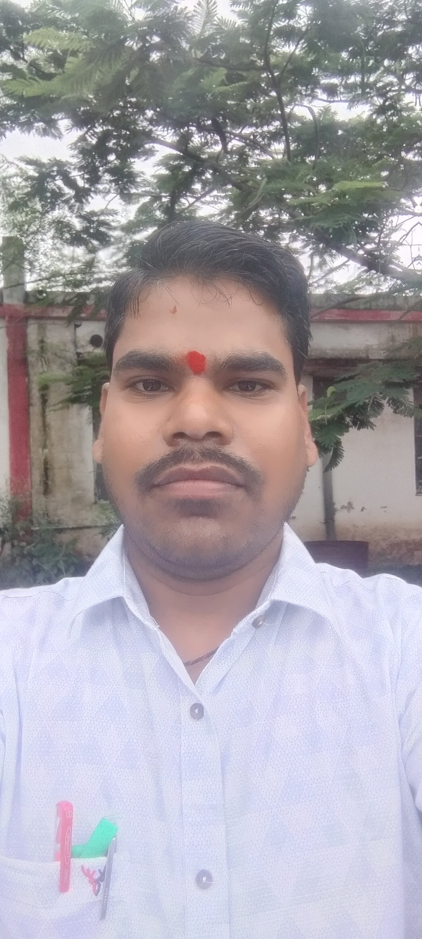 User Profile